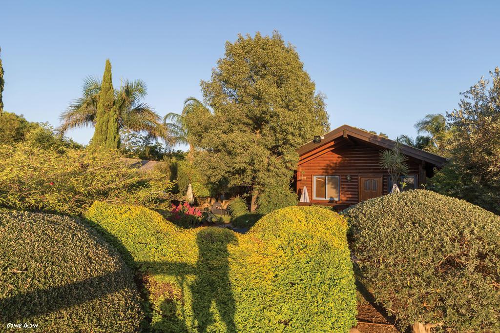 Musical Garden Cabins Ramot Ngoại thất bức ảnh